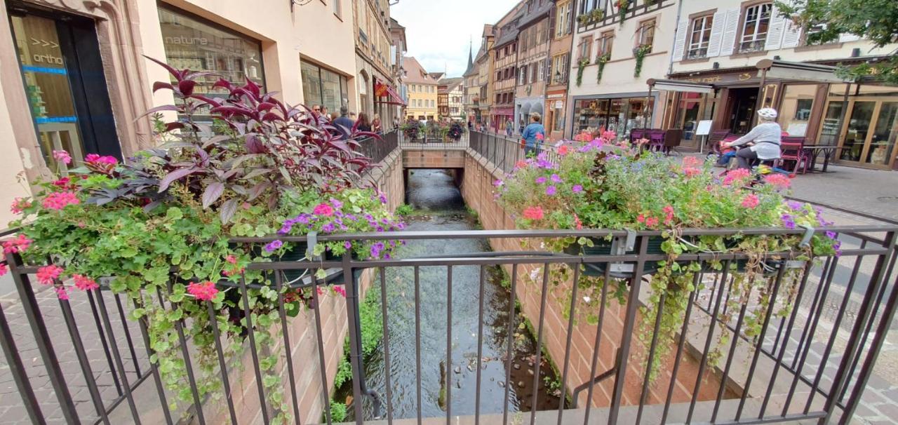 Le Green St Léon : Lit Queen Size * WIFI * Idéal Couple Colmar Exterior foto
