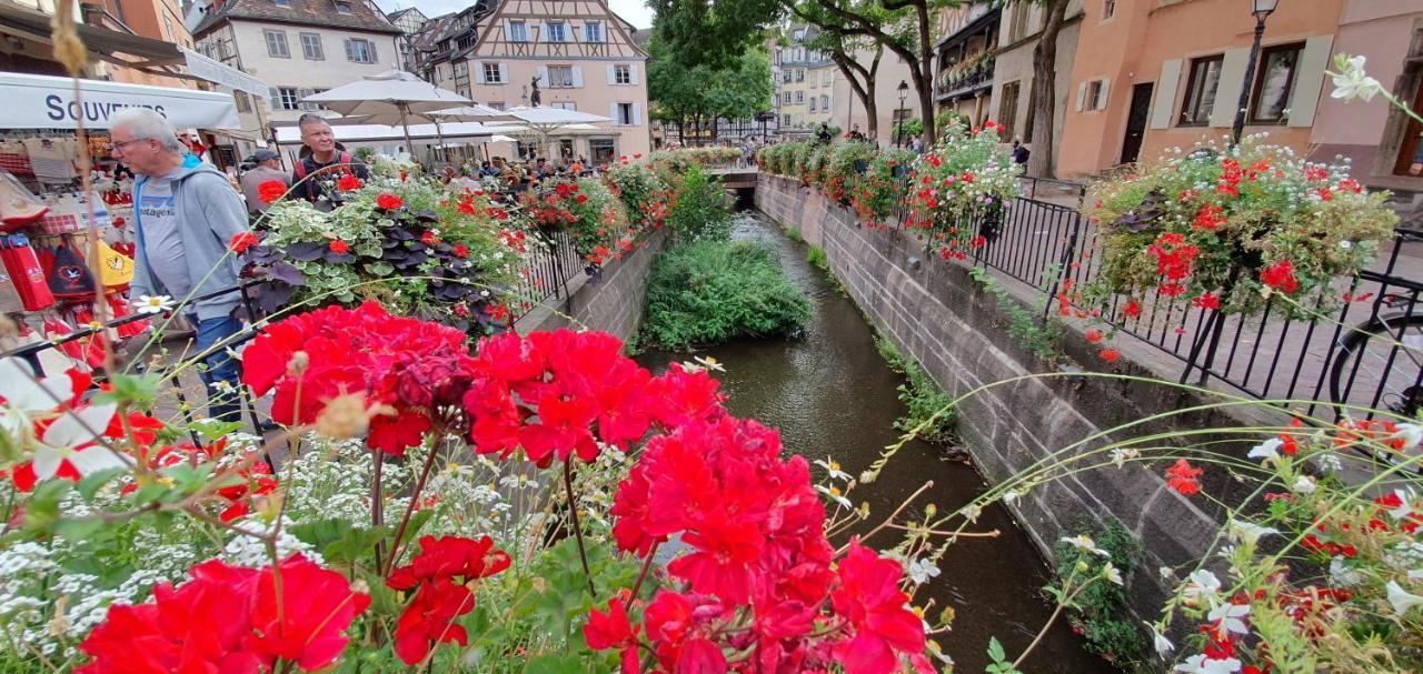 Le Green St Léon : Lit Queen Size * WIFI * Idéal Couple Colmar Exterior foto