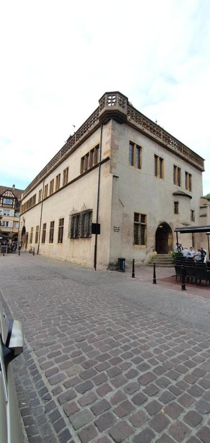 Le Green St Léon : Lit Queen Size * WIFI * Idéal Couple Colmar Exterior foto