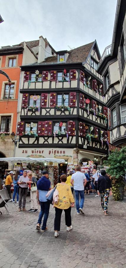 Le Green St Léon : Lit Queen Size * WIFI * Idéal Couple Colmar Exterior foto